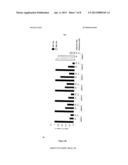 METHODS AND COMPOSITIONS COMPRISING AMPK ACTIVATOR     (METFORMIN/TROGLITAZONE) FOR THE TREATMENT OF MYOTONIC DYSTROPHY TYPE 1     (DM1) diagram and image