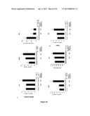 METHODS AND COMPOSITIONS COMPRISING AMPK ACTIVATOR     (METFORMIN/TROGLITAZONE) FOR THE TREATMENT OF MYOTONIC DYSTROPHY TYPE 1     (DM1) diagram and image