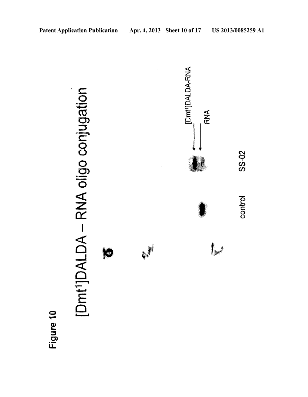 METHOD AND CARRIER COMPLEXES FOR DELIVERING MOLECULES TO CELLS - diagram, schematic, and image 11