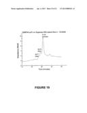 BINDING PARTNERS OF ANTIBODIES SPECIFIC FOR DENDRITIC CELL ANTIGENS diagram and image