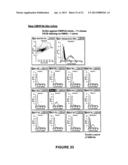 BINDING PARTNERS OF ANTIBODIES SPECIFIC FOR DENDRITIC CELL ANTIGENS diagram and image