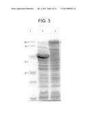 NOVEL SURFACE ANTIGEN diagram and image