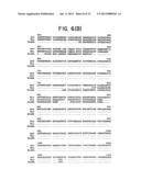 NOVEL SURFACE ANTIGEN diagram and image