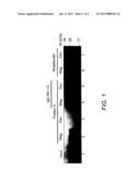 METHOD FOR NON-COVALENT IMMOBILIZATION OF INFECTIOUS PRION PROTEIN diagram and image