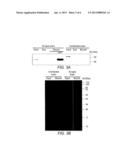 METHOD FOR NON-COVALENT IMMOBILIZATION OF INFECTIOUS PRION PROTEIN diagram and image