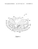 INTERBODY VERTEBRAL SPACER diagram and image