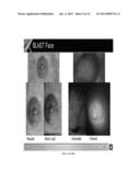 SIMULATED, REPRESENTATIVE HIGH-FIDELITY ORGANOSILICATE TISSUE MODELS diagram and image