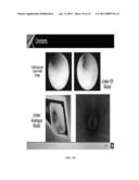 SIMULATED, REPRESENTATIVE HIGH-FIDELITY ORGANOSILICATE TISSUE MODELS diagram and image