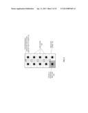 PROGRAMMABLE SYSTEM WITH VISUAL INDICATION FOR MEDICINE CONSUMPTION diagram and image