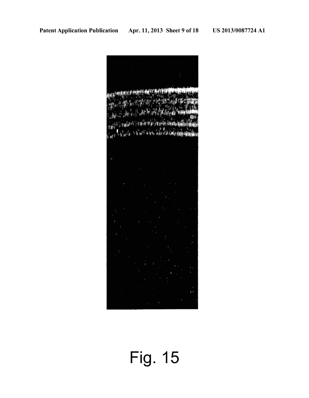 Observation Device and Method of Observing - diagram, schematic, and image 10