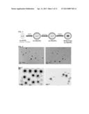 HETERONUCLEAR RADIOISOTOPE NANOPARTICLE OF CORE-SHELL STRUCTURE AND     PREPARATION METHOD THEREOF diagram and image