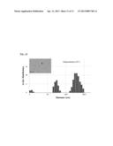 HETERONUCLEAR RADIOISOTOPE NANOPARTICLE OF CORE-SHELL STRUCTURE AND     PREPARATION METHOD THEREOF diagram and image