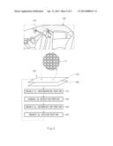 ORGANIC ELECTRO-LUMINESCENCE LIGHTING DEVICE FOR VEHICLE diagram and image