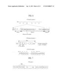 LIQUID CRYSTAL DISPLAY DEVICE AND DRIVING METHOD THEREOF diagram and image