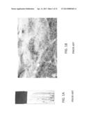 METHOD AND SYSTEM FOR ANALYZING BIOLOGICAL SPECIMENS BY SPECTRAL IMAGING diagram and image