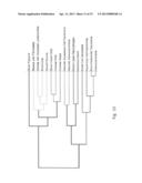 METHOD AND SYSTEM FOR ANALYZING BIOLOGICAL SPECIMENS BY SPECTRAL IMAGING diagram and image