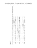 ANTI-FcRH5 ANTIBODIES AND IMMUNOCONJUGATES AND METHODS OF USE diagram and image