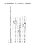 ANTI-FcRH5 ANTIBODIES AND IMMUNOCONJUGATES AND METHODS OF USE diagram and image