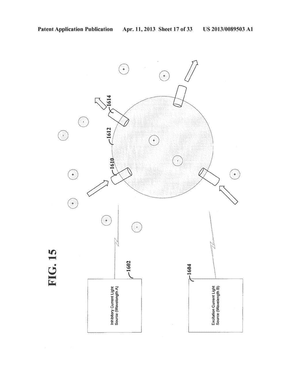 Light-Sensitive Ion-Passing Molecules - diagram, schematic, and image 18