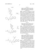 Compositions Comprising Enzyme-Cleavable Hydromorphone Prodrug diagram and image