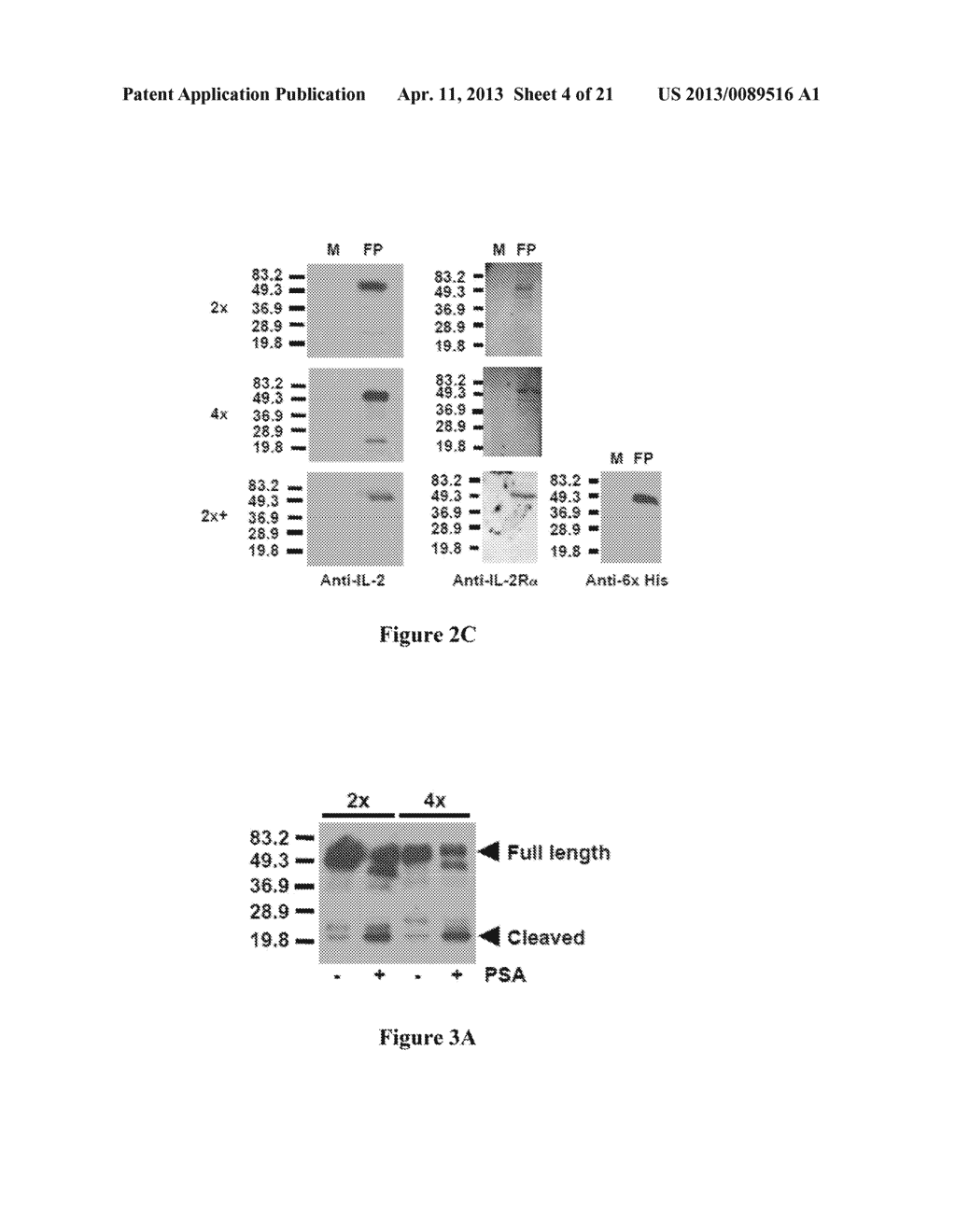 PROTEASE ACTIVATED CYTOKINES - diagram, schematic, and image 05