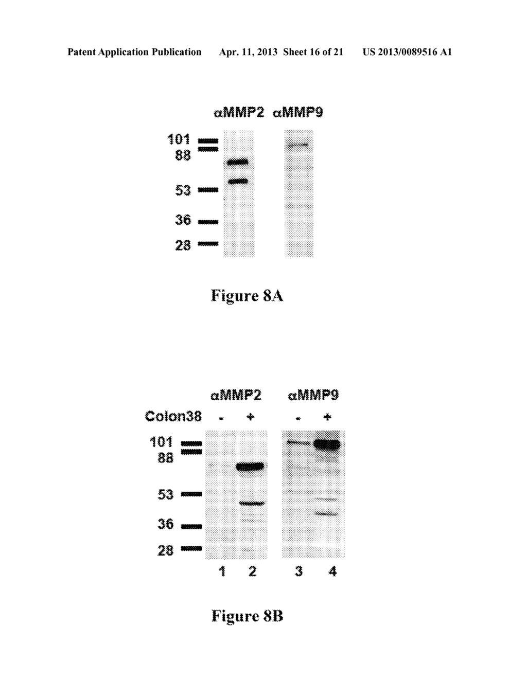 PROTEASE ACTIVATED CYTOKINES - diagram, schematic, and image 17