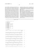 HOMOGENEOUS PREPARATIONS OF IL-28 AND IL-29 diagram and image