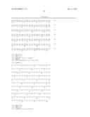 HOMOGENEOUS PREPARATIONS OF IL-28 AND IL-29 diagram and image