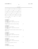 HOMOGENEOUS PREPARATIONS OF IL-28 AND IL-29 diagram and image