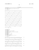 HOMOGENEOUS PREPARATIONS OF IL-28 AND IL-29 diagram and image