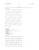 HOMOGENEOUS PREPARATIONS OF IL-28 AND IL-29 diagram and image