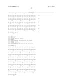 HOMOGENEOUS PREPARATIONS OF IL-28 AND IL-29 diagram and image