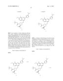 Macrocyclic Inhibitors Of Hepatitis C Virus diagram and image