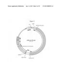 HETEROLOGOUS HOSTS diagram and image