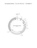 HETEROLOGOUS HOSTS diagram and image