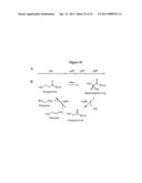 HETEROLOGOUS HOSTS diagram and image