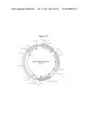 HETEROLOGOUS HOSTS diagram and image