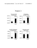 ADENOVIRUS DERIVED HELPER VIRUS FOR ENHANCING RECOMBINANT PARVOVIRUS     PRODUCTION diagram and image