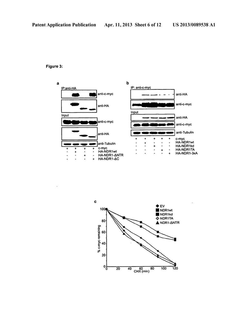 TREATING CANCER BY MODULATING MAMMALIAN STERILE 20-LIKE KINASE 3 - diagram, schematic, and image 07