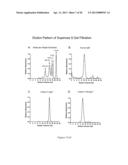 Hybrid Constant Regions diagram and image