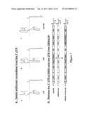 DEVELOPMENT OF DENGUE VIRUS VACCINE COMPONENTS diagram and image