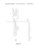 DEVELOPMENT OF DENGUE VIRUS VACCINE COMPONENTS diagram and image