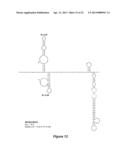 DEVELOPMENT OF DENGUE VIRUS VACCINE COMPONENTS diagram and image