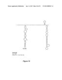 DEVELOPMENT OF DENGUE VIRUS VACCINE COMPONENTS diagram and image