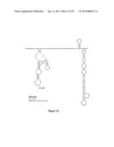 DEVELOPMENT OF DENGUE VIRUS VACCINE COMPONENTS diagram and image