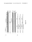 DEVELOPMENT OF DENGUE VIRUS VACCINE COMPONENTS diagram and image