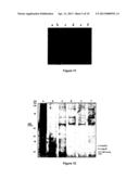 METHOD OF PRODUCING A HYDROGEL diagram and image