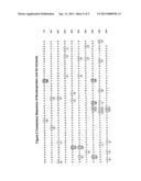 COMPOSITIONS AND METHODS OF MAKING AND USING INFLUENZA PROTEINS diagram and image