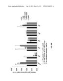 MicroRNA-130a,b as a Tumor Suppressor and Sensitizing Agent for     Chemotherapy diagram and image