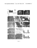 Compositions of Jasmonate Compounds and Methods of Use diagram and image